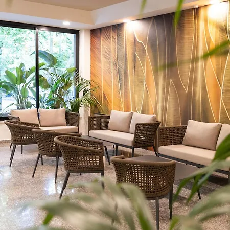 Hotel Executive Evolution