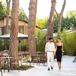 Executive Evolution - Inclusa 4*