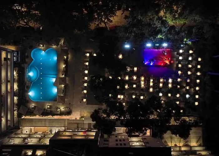 Executive Evolution - Inclusa تْشيزيناتيكو