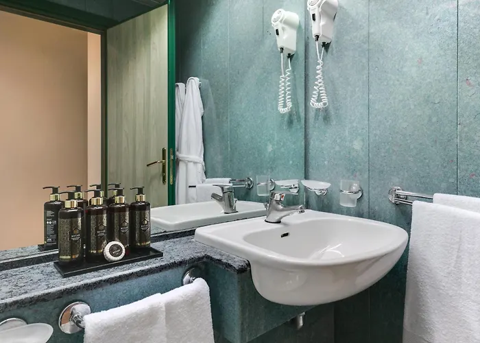 Executive Evolution - Inclusa فندق تْشيزيناتيكو